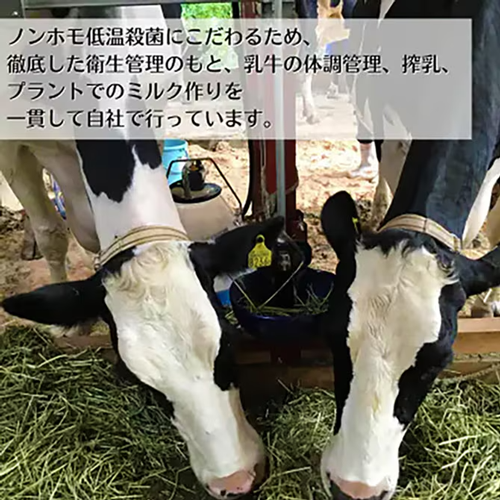 みうらみるくパイ